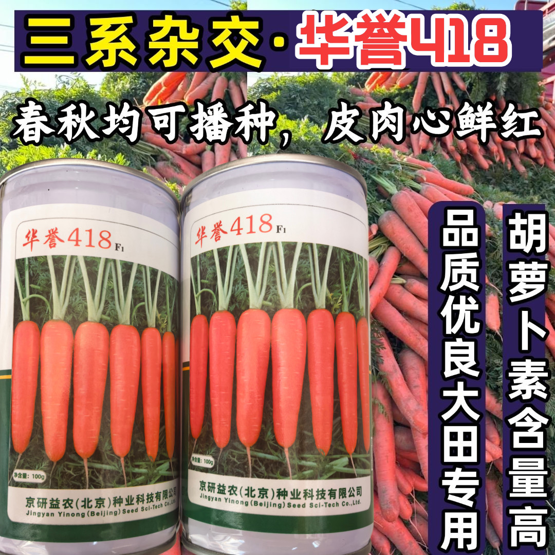 华誉418胡萝卜种子京研杂交胡萝卜春秋耐热耐寒三红萝卜种子籽孑