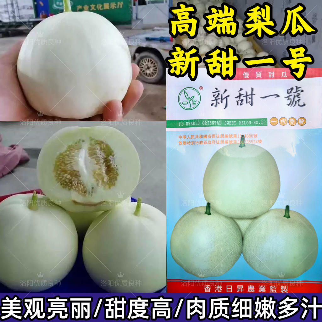 新甜一号奶香玉甜瓜种子白黄皮薄皮白肉高甜圆梨型香瓜甜瓜种子籽