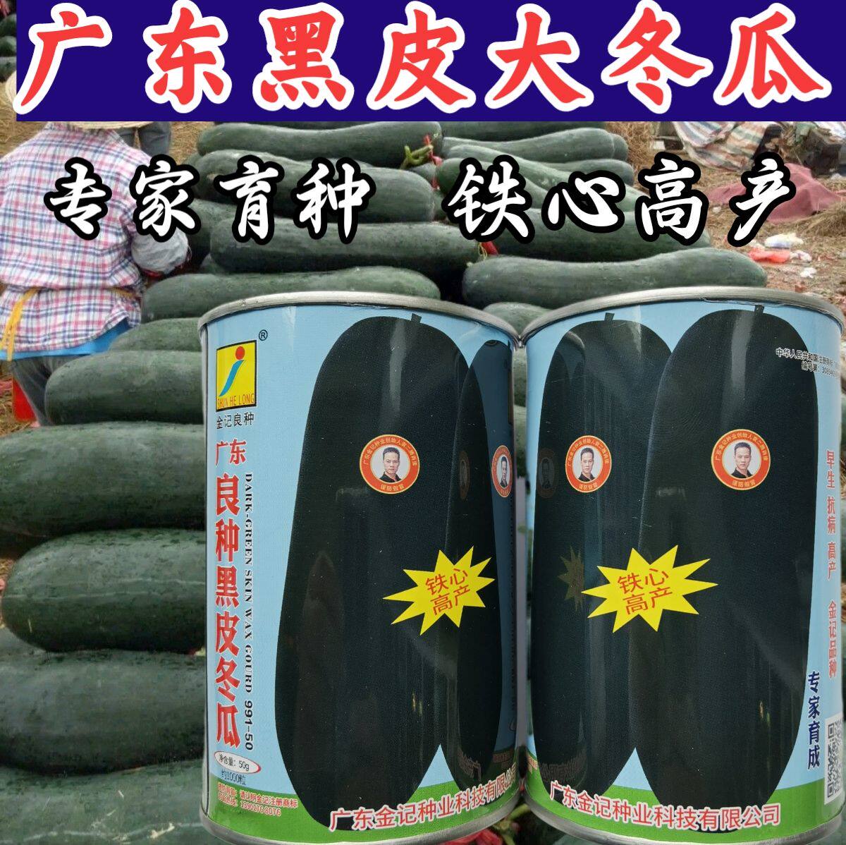 炮弹型冬瓜特大巨型春秋高产