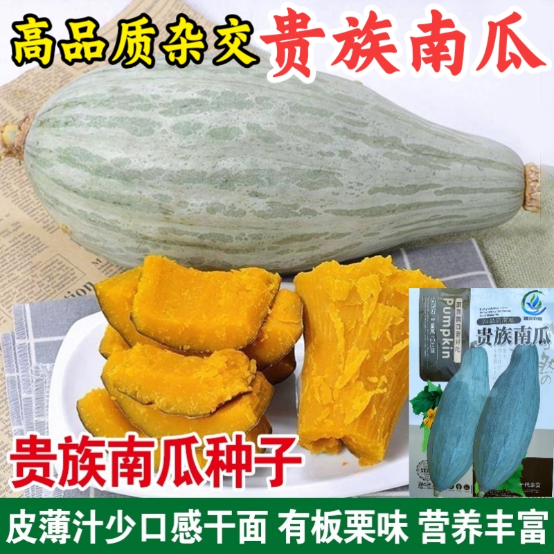 贵族南瓜种子杂交粉糯香甜板栗南瓜种籽四季庭院南瓜蔬菜种籽孑,鲜花速递/花卉仿真/绿植园艺,家庭园艺种子,淘宝优惠券,粉丝福利购,淘宝优惠卷