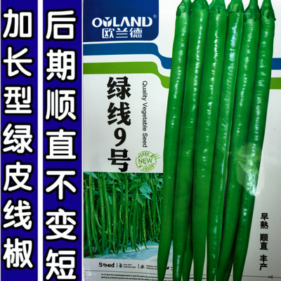 欧兰德加长型翠绿皮条椒线椒高产