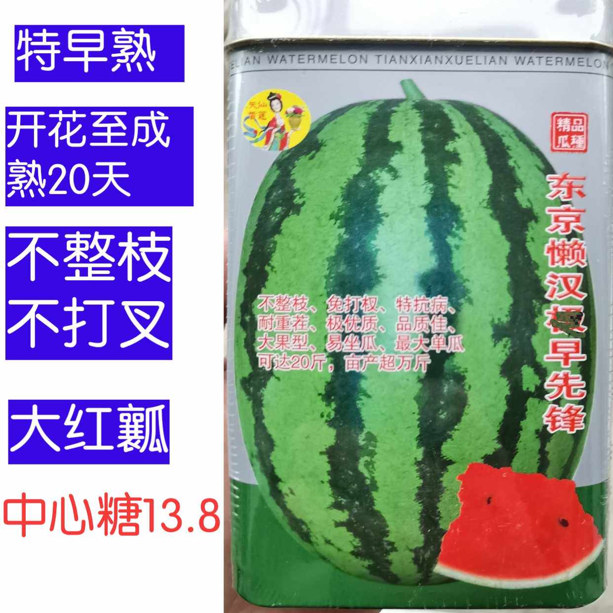 特早熟西瓜种子 特早先锋懒汉西瓜不整枝免打叉大红瓤西瓜种子孑