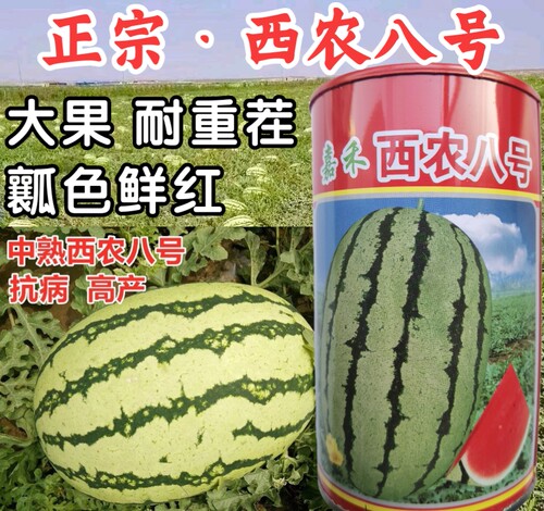 耐重茬西瓜种子西瓜种子嘉禾