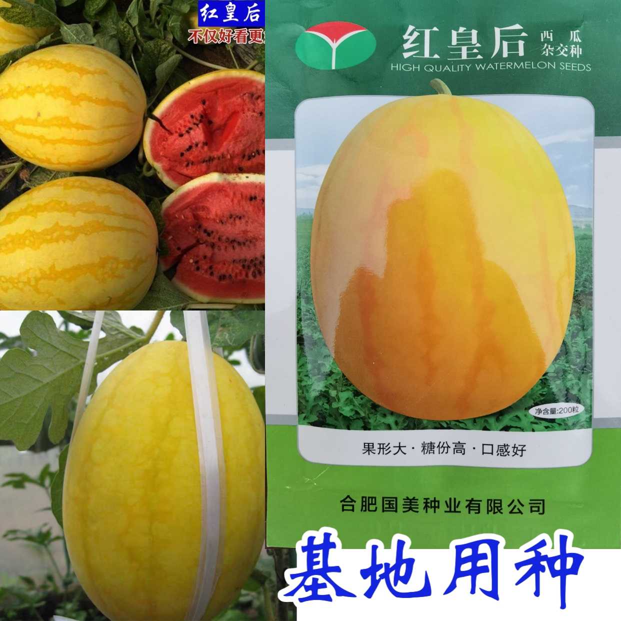 高糖黄皮西瓜种子国美