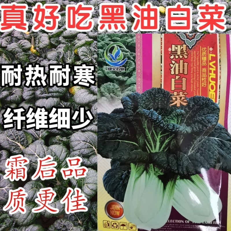 黑白菜种子黑油白菜种子种籽耐热耐寒秋冬春不老白菜四季蔬菜种子