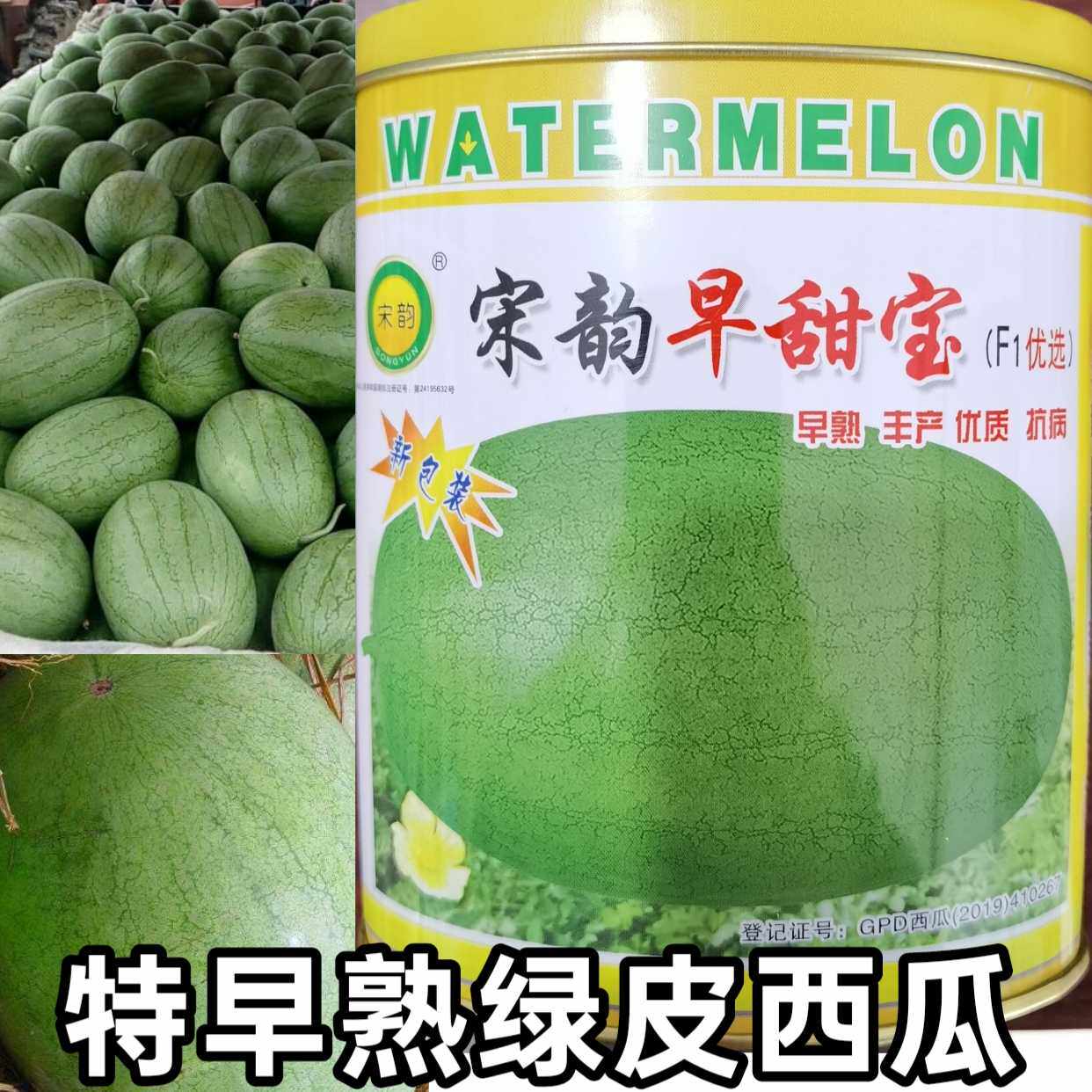 早熟高产抗病西瓜种子宋韵