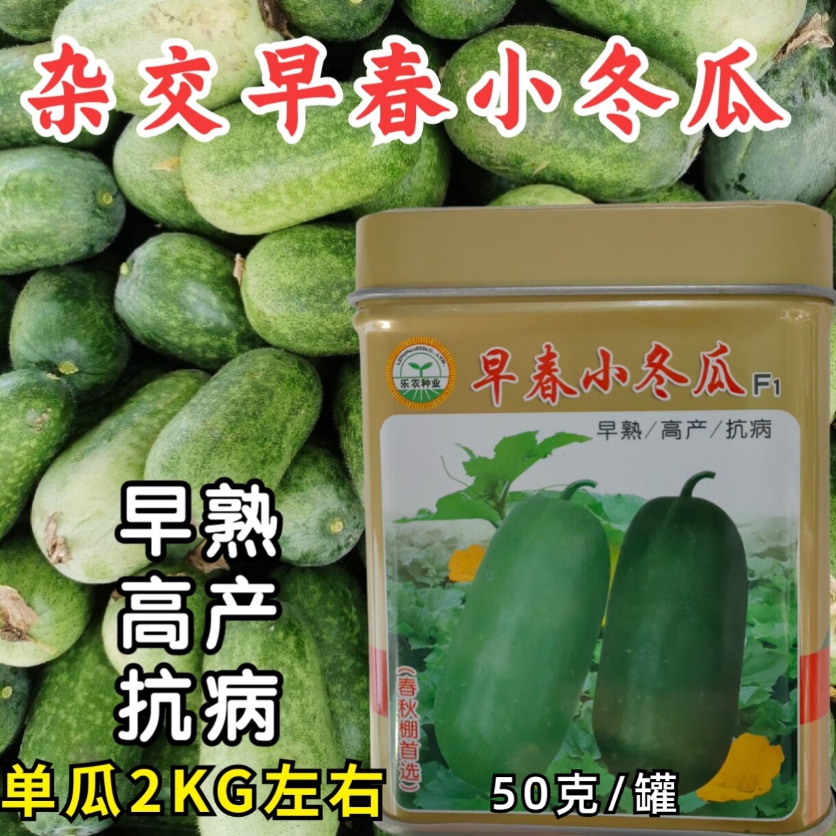 早春小冬瓜种子杂交粉皮白皮小冬瓜迷你冬瓜水果冬瓜种子籽孑春秋