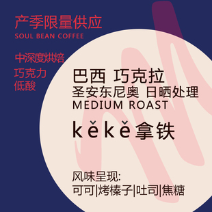 术也巧克拉咖啡豆单品意式 227g SOE巴西精品波旁新鲜烘焙香醇美式