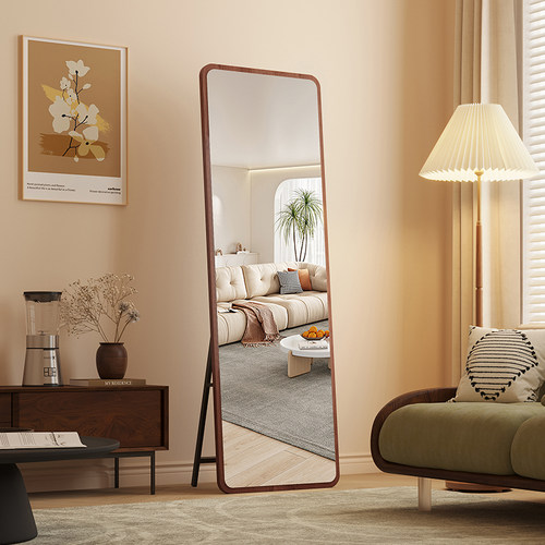 镜子全身镜落地镜家用女生卧室全身镜网红中古风全身镜挂墙大镜子