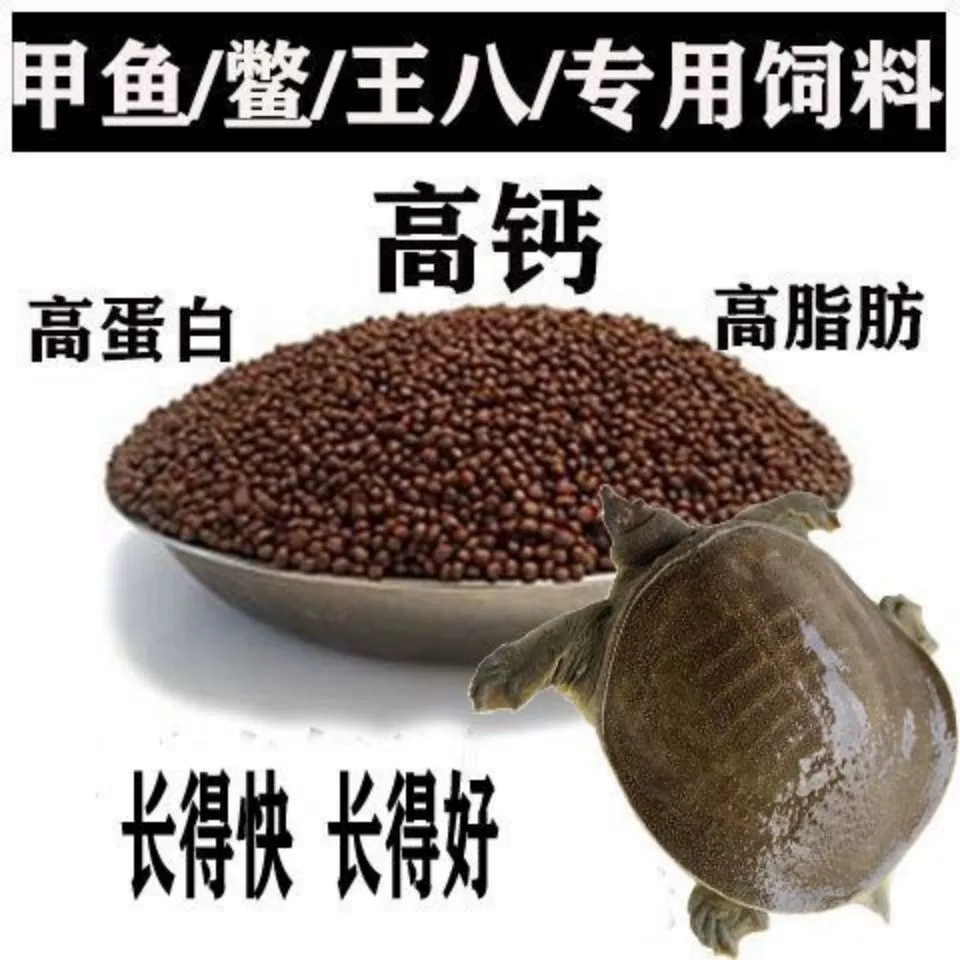 甲鱼苗团鱼苗水鱼苗小鳄巴西龟中华草龟龟鳖专用饲料50g包