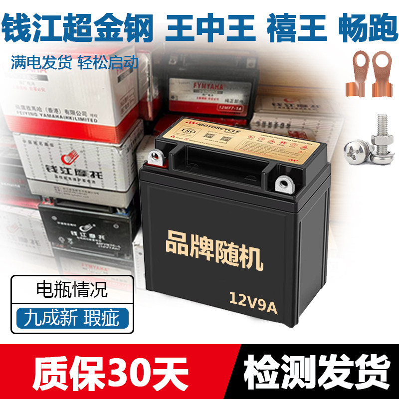 摩托车干电瓶钱江QJ125超金钢 王中王金太子 禧王畅跑 御龙蓄电池