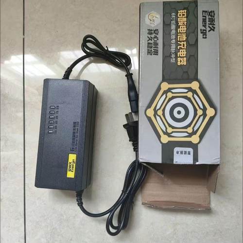 适用爱玛雅迪新日电动车充电器