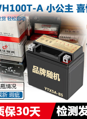 摩托车干电瓶田WH100T-A-B-E-F-G-H-K-L-N-M-3小公主喜悦蓄电池