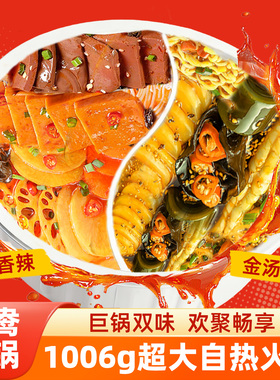 女同桌鸳鸯锅自热火锅4-6人餐网红懒人速食宿舍聚餐麻辣番茄金汤