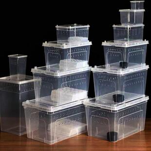 蚕宝宝学生养蚕盒子大蚕卵箱太空舱小品级使用透明蚕食透气宠物蚕