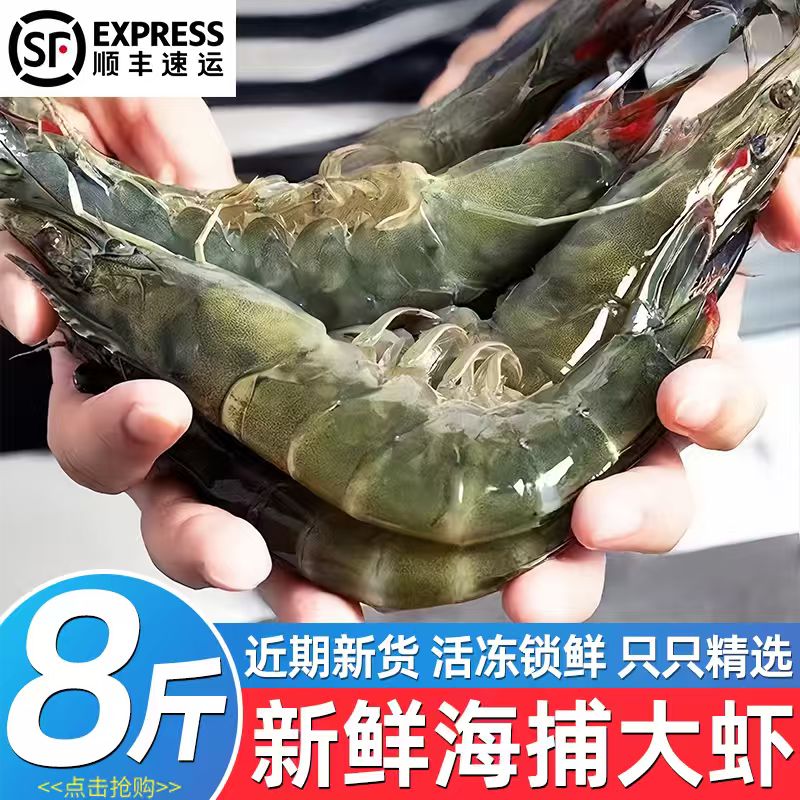 正宗青岛大虾特大号鲜活冷冻大海虾对虾基围虾海捕大虾青虾批发