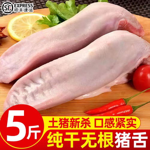 纯干净重无根猪舌猪口条