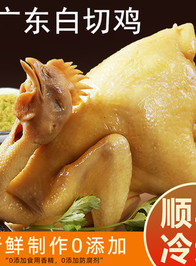 广东白切鸡整只白斩鸡客家特产三黄鸡广州广式真空即食送蘸料调料