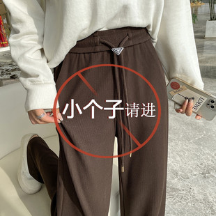 145cm矮小个子咖色雪尼尔阔腿裤 女垂感秋冬150显高抽绳直筒休闲裤