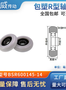 圆弧球面包塑滑轮POM尼龙成型轴承耐磨承重抗压BSR600145-14