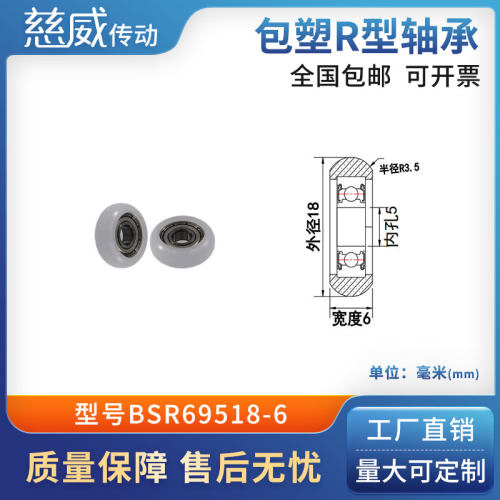 圆弧球面包塑滑轮POM聚甲醛尼龙成型轴承耐磨承重抗压BSR69518-6