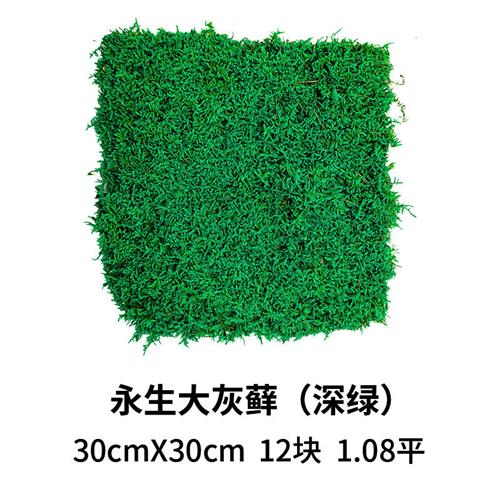 永生苔藓大灰藓室内枯山水造景装饰画植物墙仿真永生花青苔盆景图片