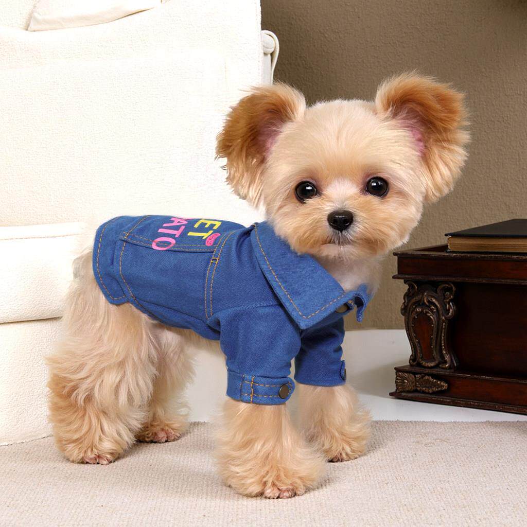 约克夏专用衣服马尔济斯狗狗衬衣秋天装秋季薄款牛仔衣小体犬比熊