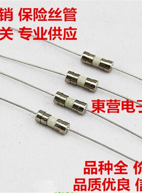 3.6*10双帽环保慢断带引线保险丝T100mA/0.1A 1包200个陶瓷保险管