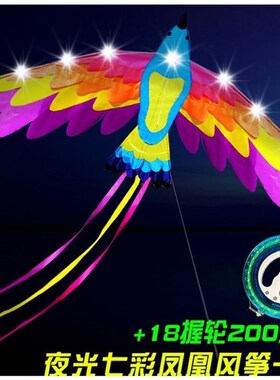 夜光风风11647筝高端0风筝2x2筝2新款ed带灯光坊l潍夜光大型风筝