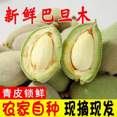 锁住年轻的光，青皮巴旦木