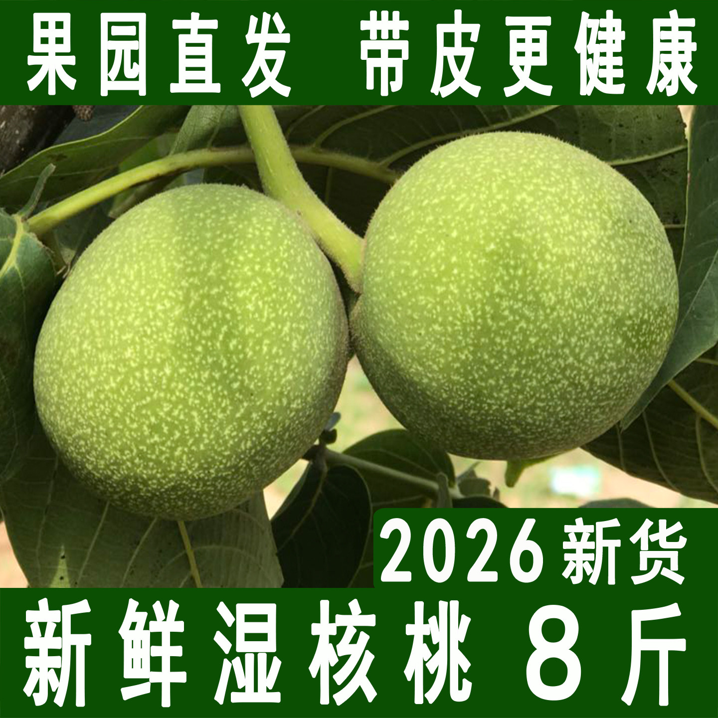 2026新鲜核桃带青皮湿核桃去绿皮生核桃薄皮孕妇专用嫩黑桃新货批