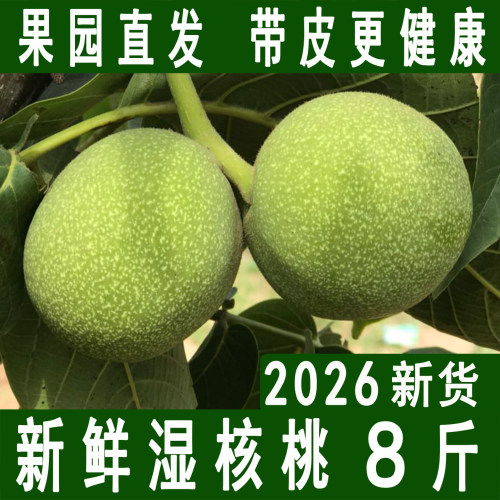 当季【新鲜核桃精选榜】TOP商家