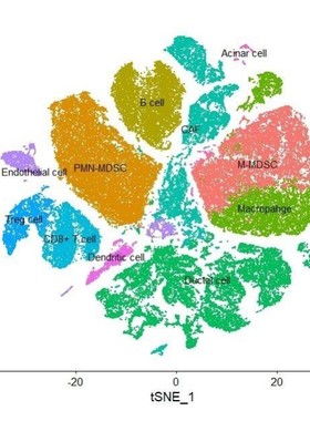 转录组数据分析TGCA数据库来源GEO单细胞转录组ATACseq建库测序