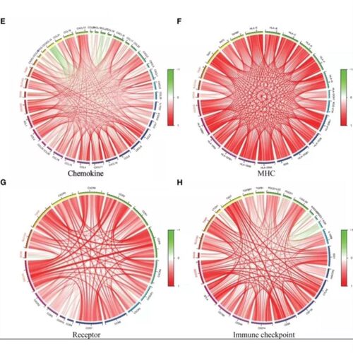 网络药理学TCMSP、Genecards、OMIM、等中药疾病数据库靶选筛选
