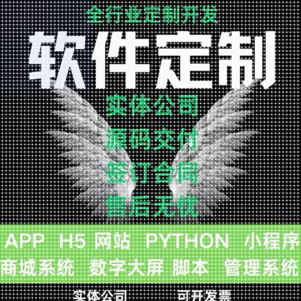 二次调试小程序java代做软件开发python定制PHP代编写代码修改asp