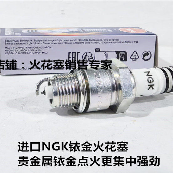 雅马哈4 5 6 20匹 30 40 50 60匹四冲程船外机适用NGK铱金火花塞