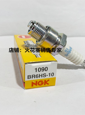 NGK火花塞BR6HS-10对应E5TC BR6HS适用E6RTC船外机发电机两冲摩托
