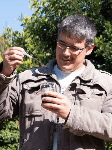 南非凤凰复活草密罗木淡纹