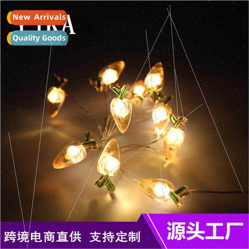 Europe Uned States copper wire light string Christmas Day we
