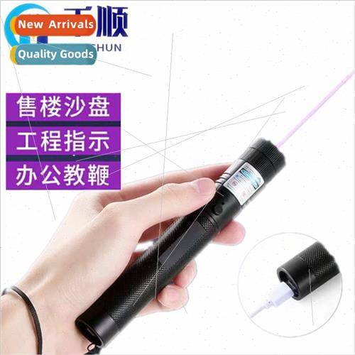 303 Blue Lens Detection Lamp Blue Violet Laser Flashlight Fl