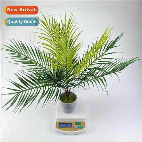 mulation ferns wall hanging fake flowers greenery landscapin