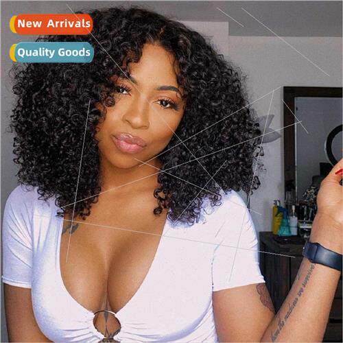 Europe Black Women Short Curly Hair African Small Curls wig