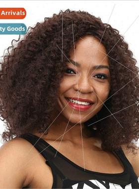 African Wigs Europe Wigs Ladies Short Curly Hair Exploding H