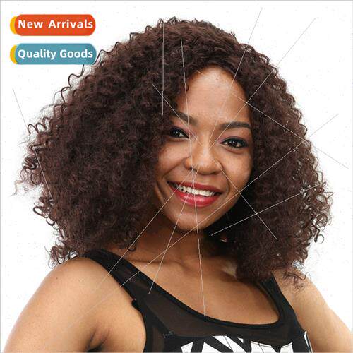 African Wigs Europe Wigs Ladies Short Curly Hair Exploding H