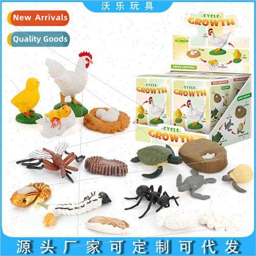 Growth Cycle Toys Blind Box mulation Solid Frogs Animals Tur