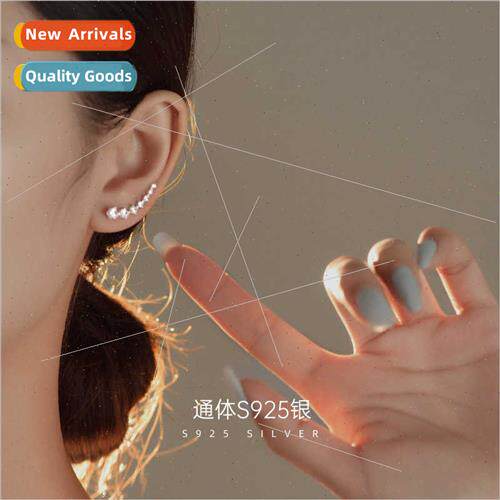 S925 silver a row zirconia earrings female simple cold wind