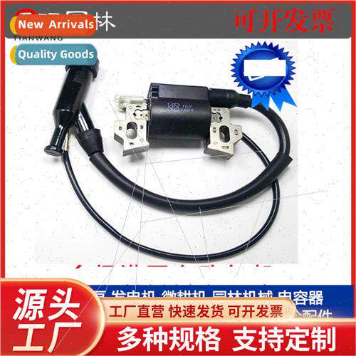 Gasoline Generator Parts 2KW168 170F 8 High Voltage Package