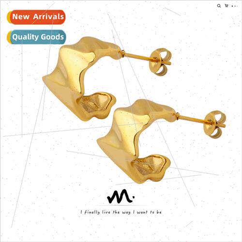 Hundreds nd shaped earrings niche irregular geometric earrin