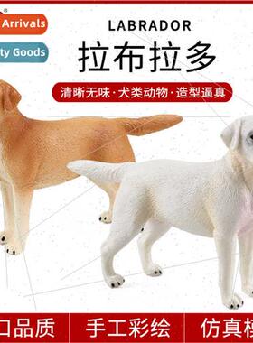 Cognitive dog animal model Labrador Husky Golden Retriever p