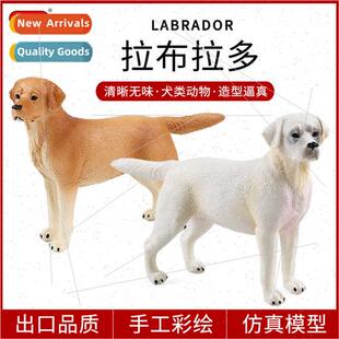 Cognitive dog animal model Labrador Husky Golden Retriever p